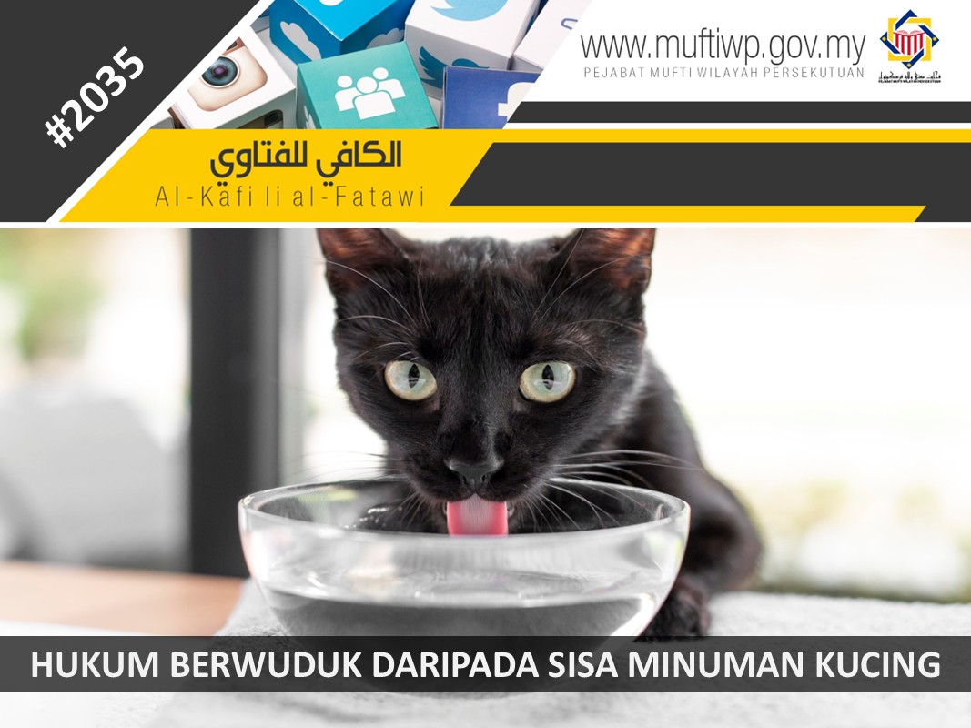 APAKAH_HUKUM_BERWUDUK_DARIPADA_SISA_MINUMAN_KUCING.jpg