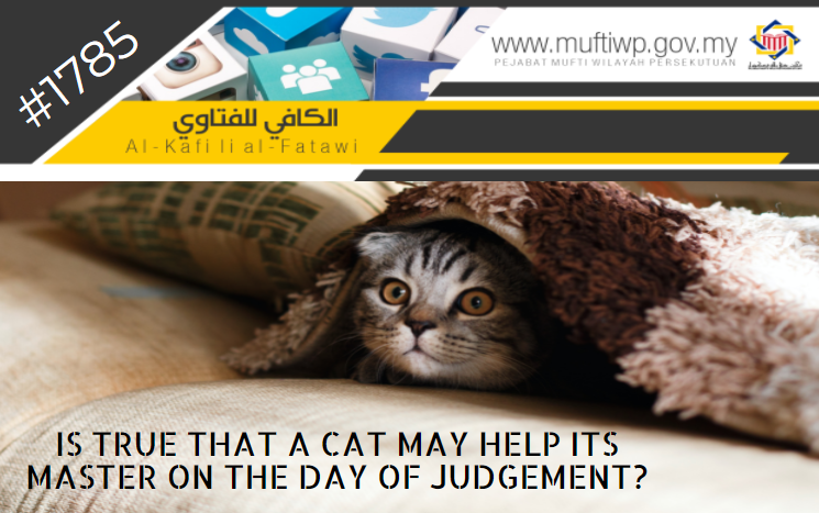 Pejabat Mufti Wilayah Persekutuan - AL-KAFI #1785: IS TRUE THAT A CAT MAY  HELP ITS MASTER ON THE DAY OF JUDGEMENT?