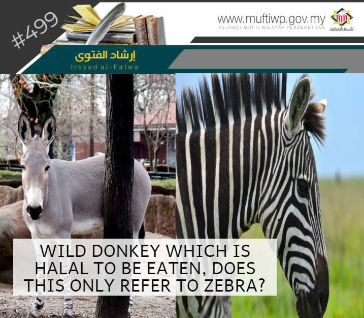 Pejabat Mufti Wilayah Persekutuan - IRSYAD AL-FATWA SERIES 499: WILD DONKEY  WHICH IS HALAL TO BE EATEN, DOES THIS ONLY REFER TO ZEBRA?