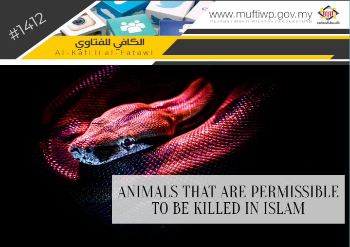 Pejabat Mufti Wilayah Persekutuan - AL-KAFI #1412: ANIMALS THAT ARE  PERMISSIBLE TO BE KILLED IN ISLAM