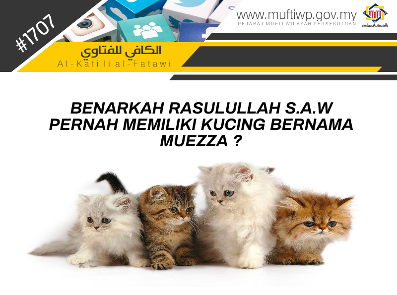 Siapa nama kucing nabi muhammad