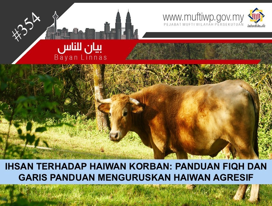 binatang_korban_agresif.JPG