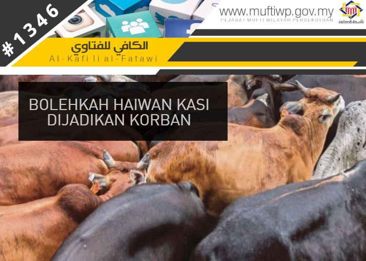 Pejabat Mufti Wilayah Persekutuan Al Kafi 1346 Bolehkah Haiwan Kasi Dijadikan Korban